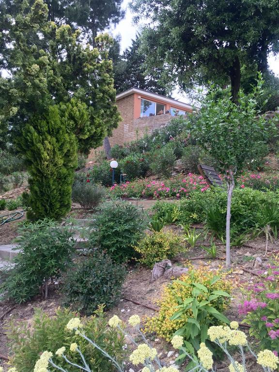 Villa Silvio Civitanova Alta 部屋 写真