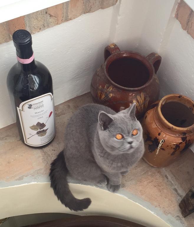 Villa Silvio Civitanova Alta 部屋 写真