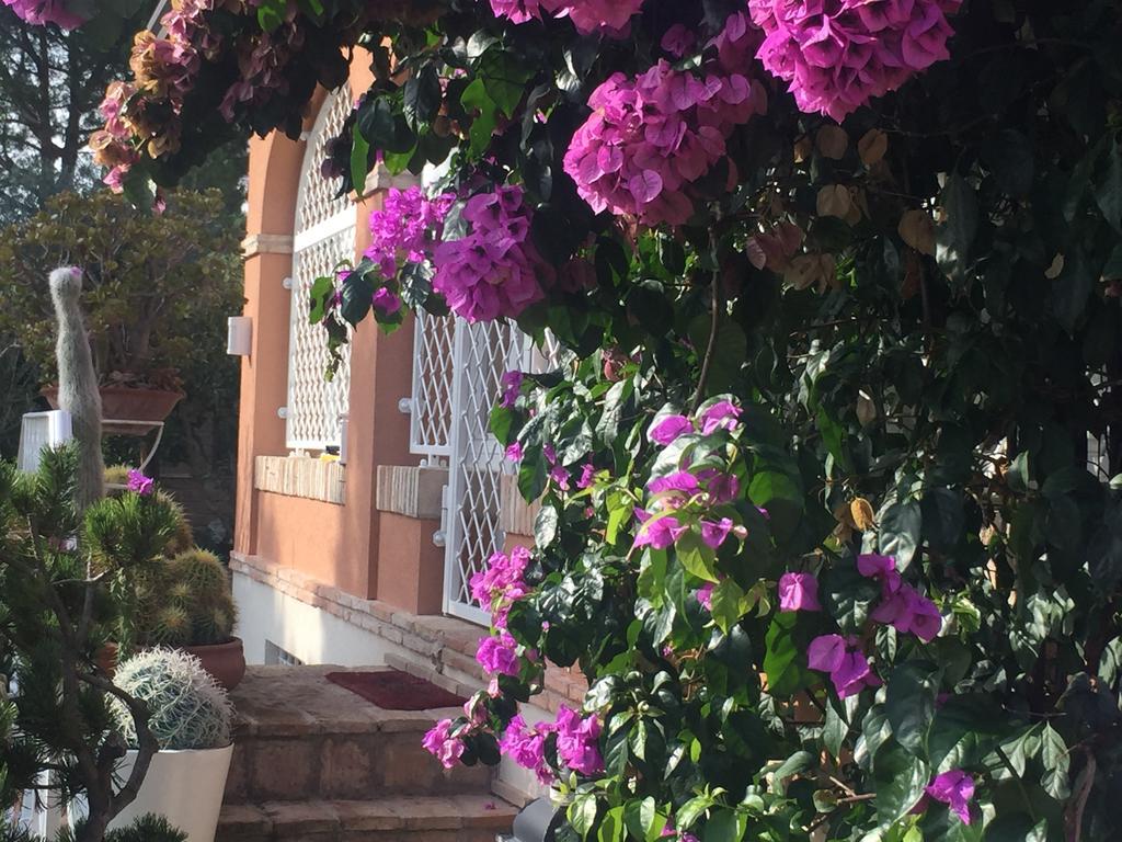Villa Silvio Civitanova Alta 部屋 写真