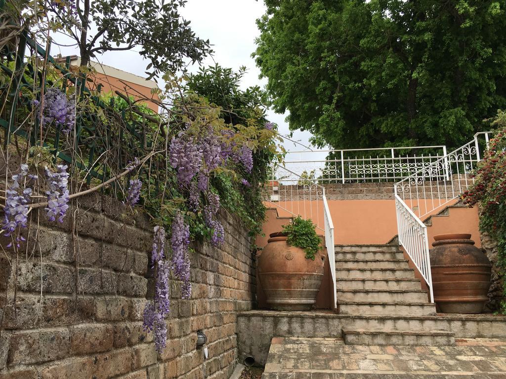 Villa Silvio Civitanova Alta エクステリア 写真